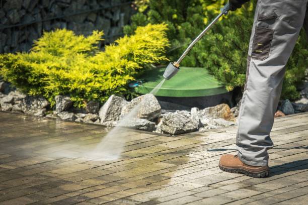 Best Sidewalk and Walkway Cleaning  in Muleshoe, TX